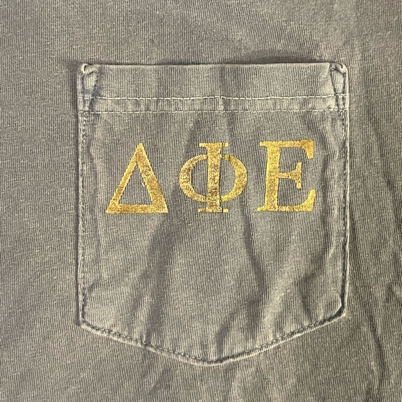 Delta Phi Epsilon Pineapple shirt - Picture 2 of 5